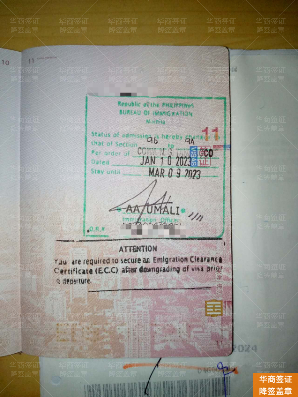 从工签到旅游签：菲律宾降签需要多久？必看清单