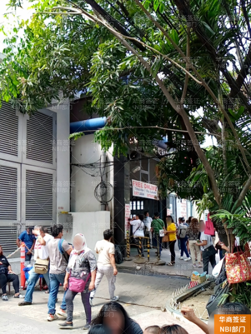 在菲律宾Nbi预约网站