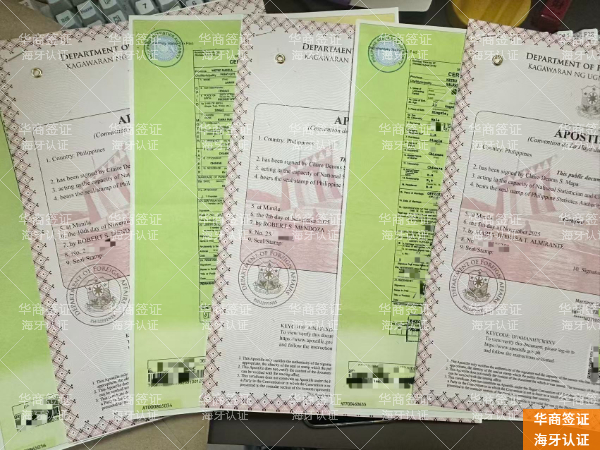 要那些资料