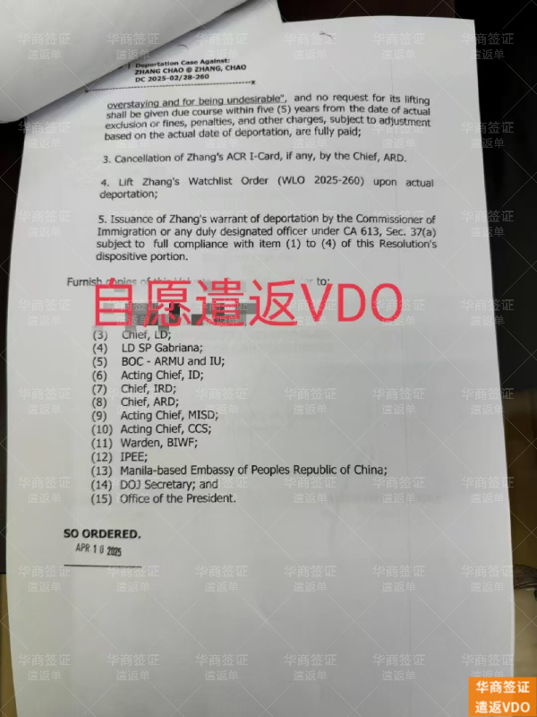 要那些资料