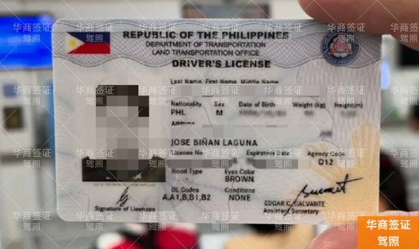 在菲律宾考驾照,这些“捷径”千万别走!附官方正规流程