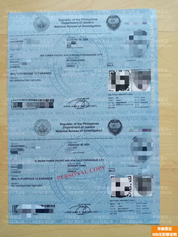深度解析菲律宾税卡与无犯罪证明在海外置业中的关键作用