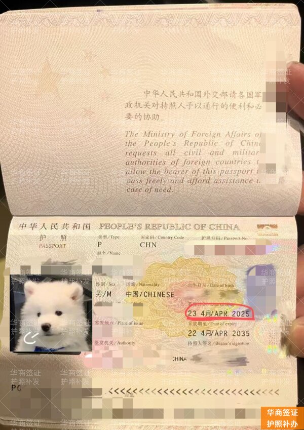 中国人在菲律宾护照丢失如何补办