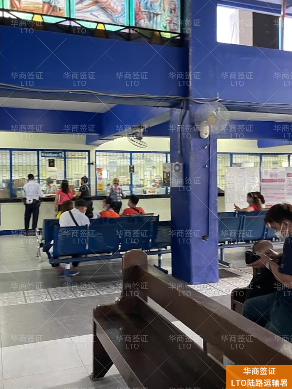 菲律宾驾照更新必看：体检到底怎么查？2026年LTO线上/线下体检全攻略