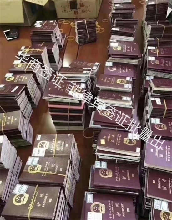 需要什么材料呢
