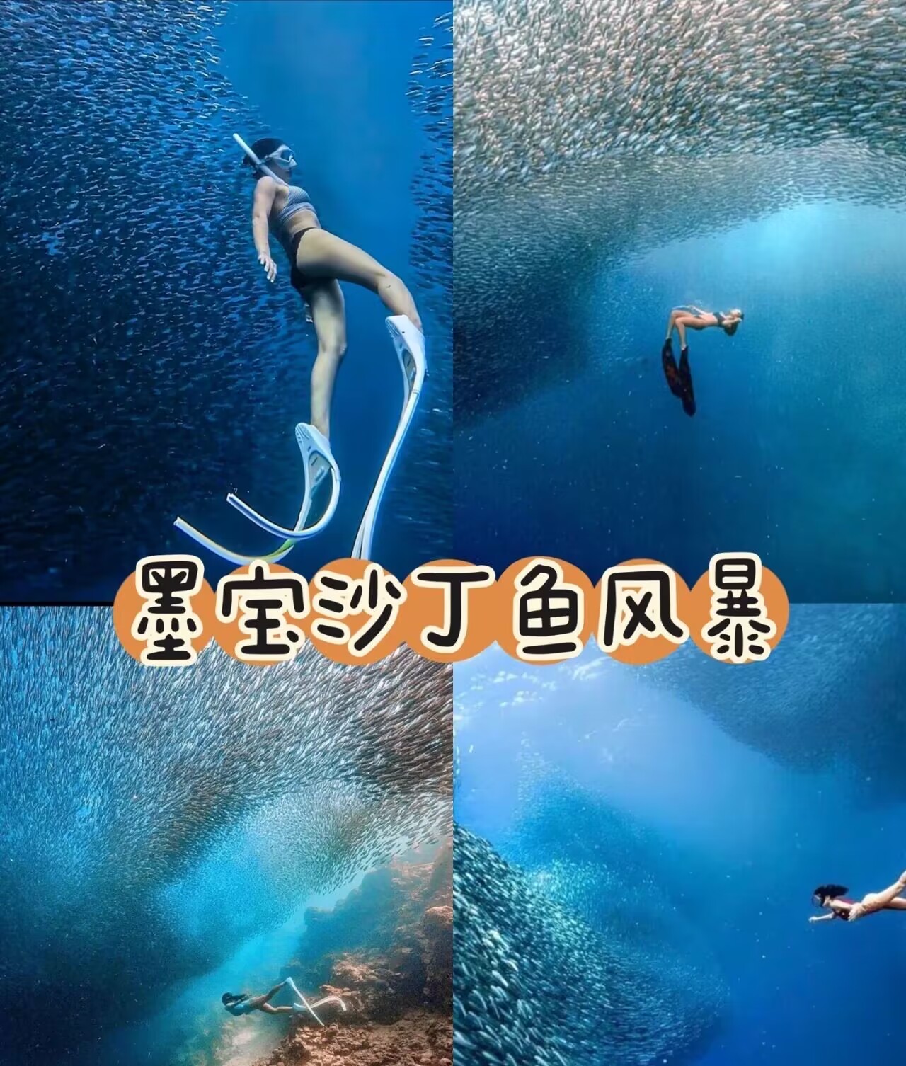 菲律宾旅游沙丁宿务