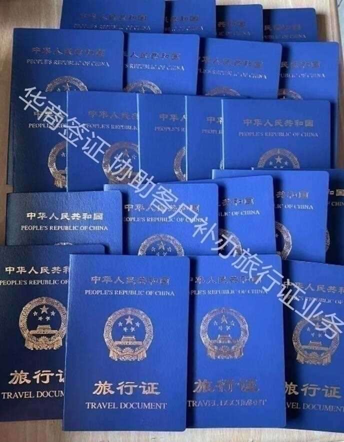 用旅行证能办理菲律宾9a旅游<strong>签证</strong>吗？