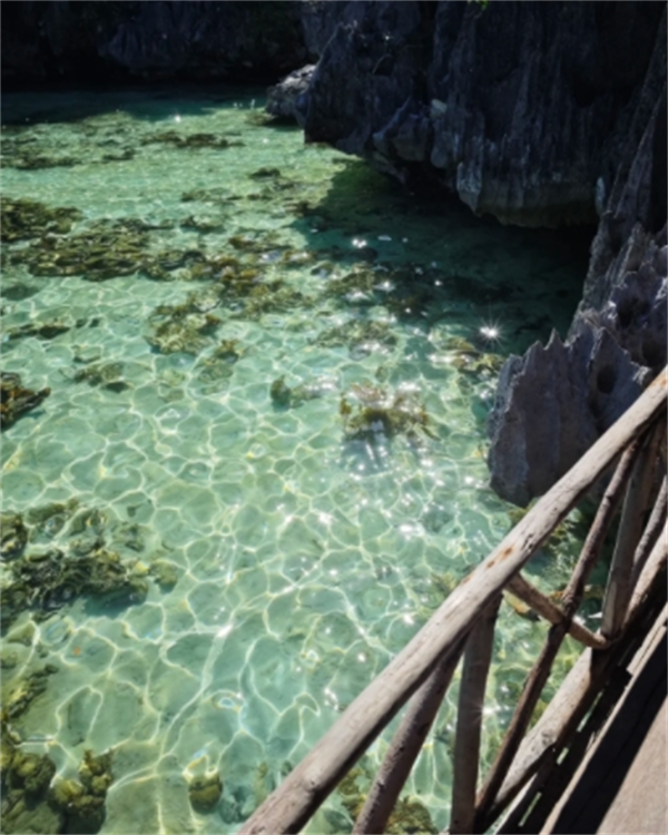 中国去菲律宾旅游可以去哪里玩(费用大概多少)