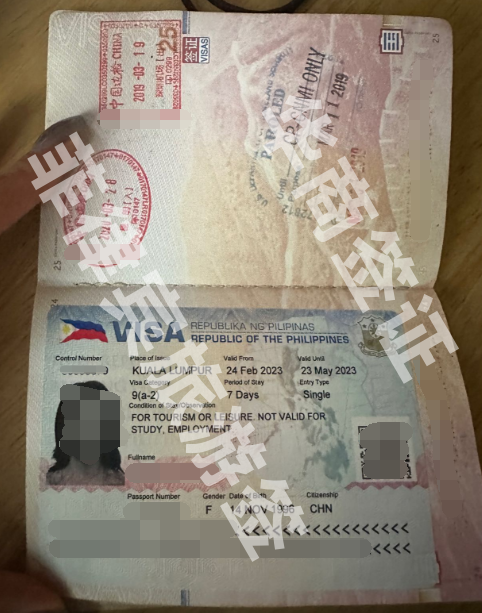 菲律宾入境签证怎么办理（旅游签办理需要的材料）