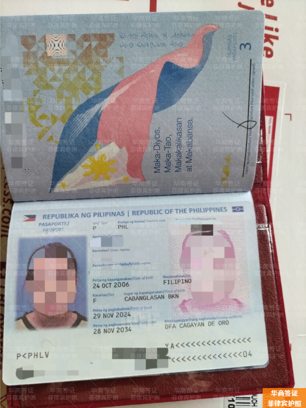 在菲律賓薩馬省申請入籍流程是什么(要幾天)