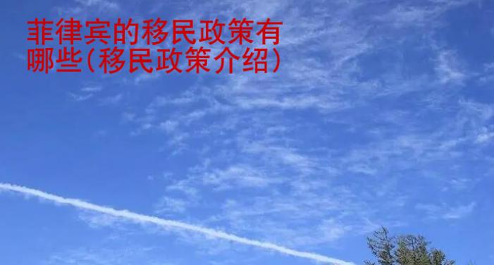 <strong></strong>菲律宾的移民政策有哪些(移民政策介绍)