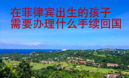 在菲律宾出生的孩子需要办理什么手续回国