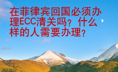 在菲律賓回國必須辦理ECC清關(guān)嗎
