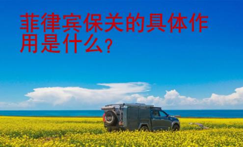 菲律賓保關(guān)的具體作用是什么？