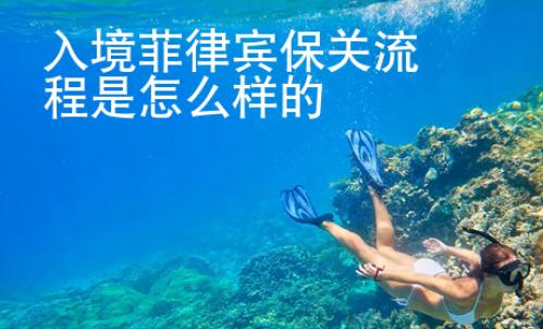 入境菲律宾保关流程是怎么样的