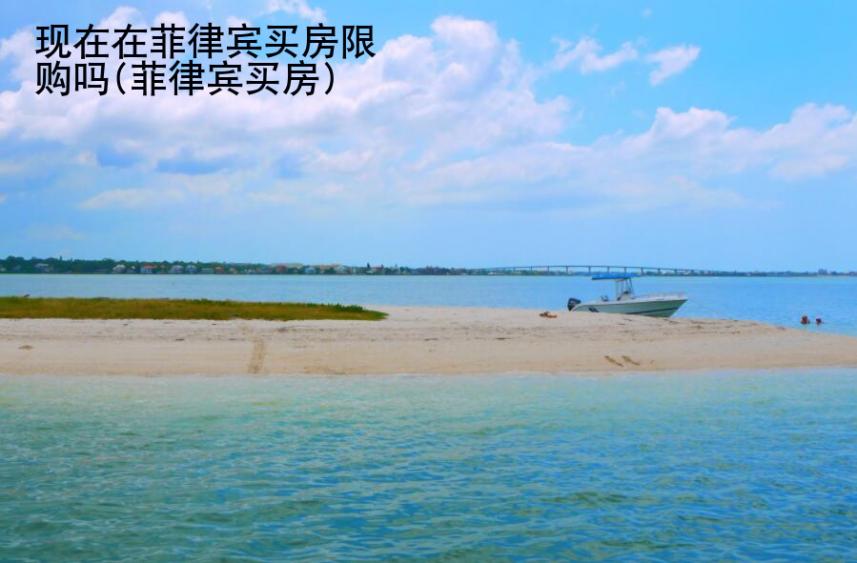 现在在菲律宾买房限购吗(菲律宾买房)