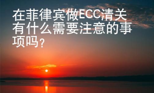 在菲律宾做<strong>ECC</strong>清关有什么需要注意的事项吗