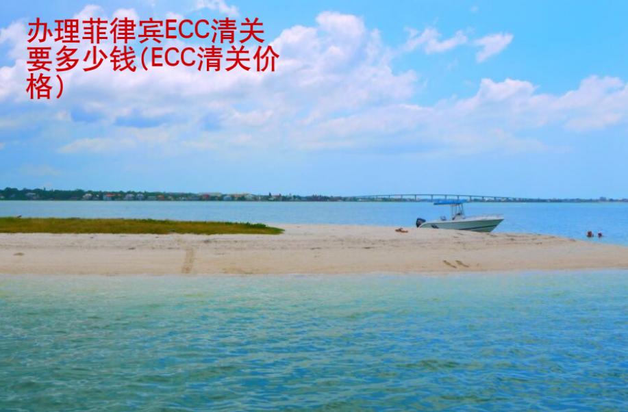 办理菲律宾ECC清<strong>关要</strong>多少钱(ECC清关价格)