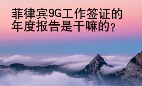 菲律宾9G<strong>工作签证</strong>的年度报告是干嘛的
