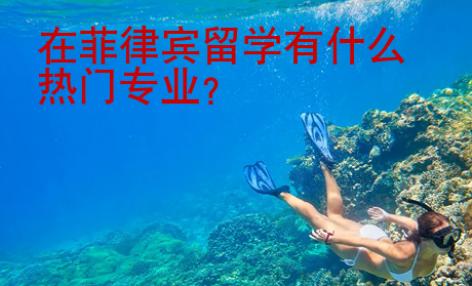 在菲律賓留學(xué)有什么熱門專業(yè)？