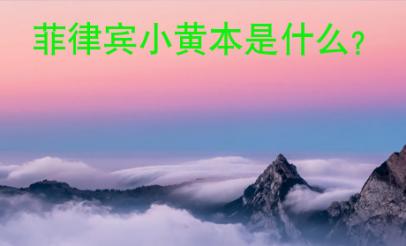 菲律賓小黃本是什么？