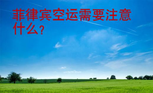 <strong>菲律宾</strong>空运需要注意什么