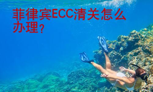 菲律宾ECC清关怎么办理